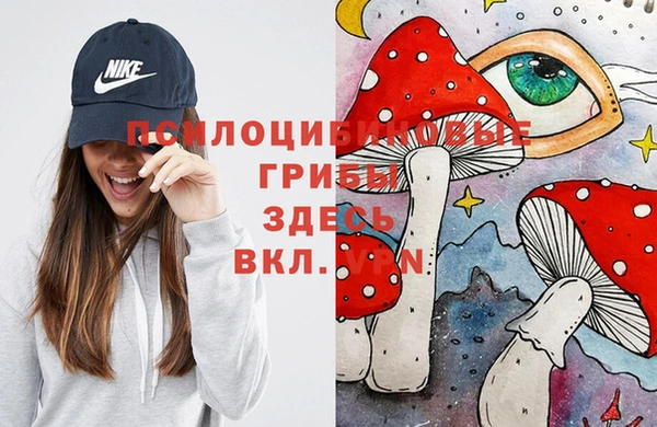 spice Балабаново