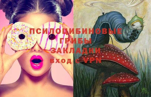spice Балабаново